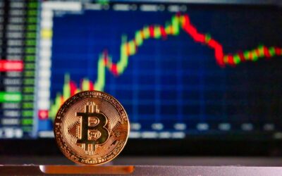 Cripto-attività: obblighi dichiarativi